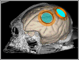 Screen Shot 2014-08-13 at 3